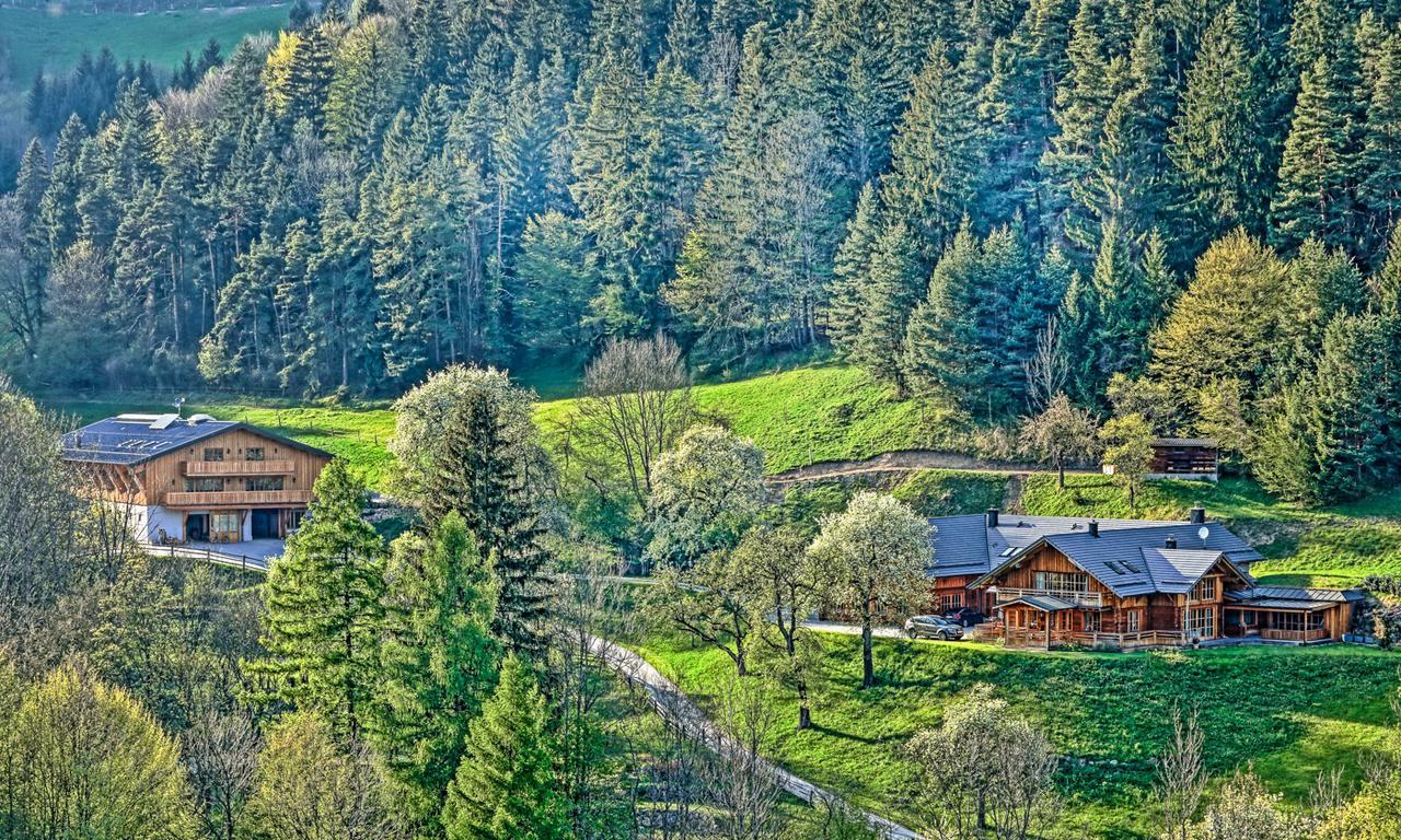 Zeidelhof Villa Lilienfeld Dış mekan fotoğraf