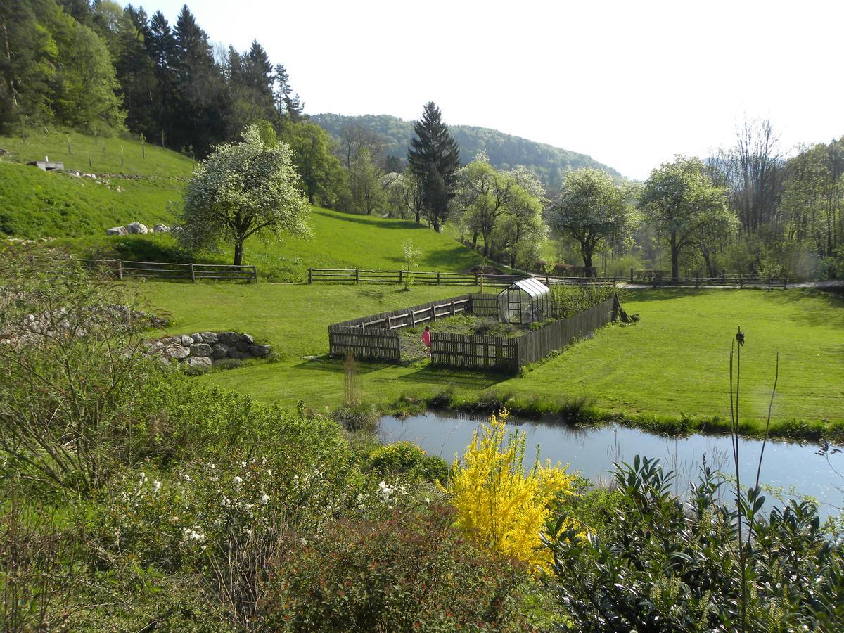 Zeidelhof Villa Lilienfeld Dış mekan fotoğraf